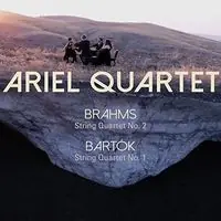 Hot Picks String Quartet 2 / String Quartet 1