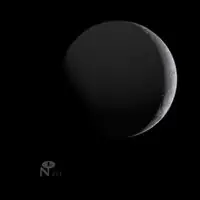 Black Moon Limited Offer