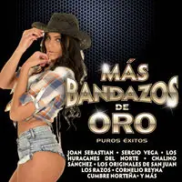 Time-Limited Mas Bandazos De Oro / Various