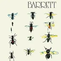 Buy Today Barrett