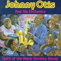 Wholesale Spirit of Black Territory Bands
