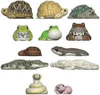 Shokugan Tenori Friends 12 Tenori Friends 12ct Bli Top Rated