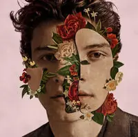 Shawn Mendes [Deluxe] Luxury