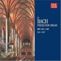 Hot Deal Pieces for Organ