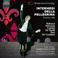 Intermedi Della Pellegrina Bargain