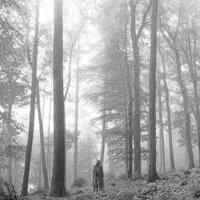 Trending folklore [Beige 2 LP]